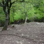Vadálló-kövek
