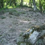 Vadálló-kövek