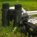 Madárles és természetfotózás a Duna-Ipoly Nemzeti Parkban