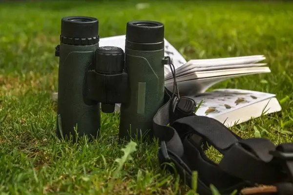 Madárles és természetfotózás a Duna-Ipoly Nemzeti Parkban
